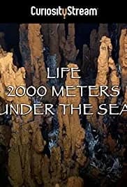 Life 2,000 Meters Under the Sea 2014