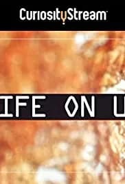 Life on Us: A Microscopic Safari