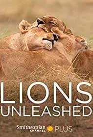 Lions Unleashed 2017