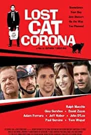 Lost Cat Corona 2017