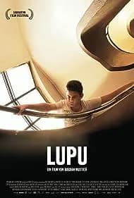 Lupu (2013)