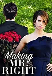 Making Mr. Right (2008)
