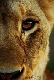 Malika the Lion Queen 2021