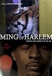 Ming of Harlem: Twenty One Storeys in the Air 2014