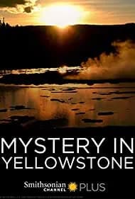 Mystery in Yellowstone 2015