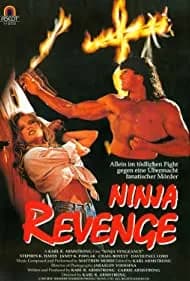 Ninja Vengeance 1993