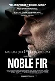 Noble Fir 2014