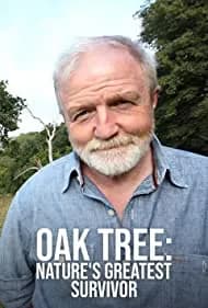 Oak Tree: Nature's Greatest Survivor 2015