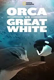 Orca vs. Great White 2021