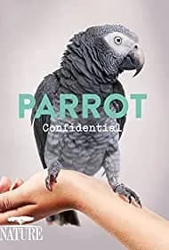 Parrot Confidential 2013