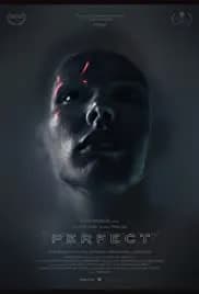 Perfect (2018)