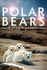 Polar Bears: A Summer Odyssey 2012