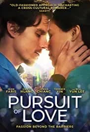 Pursuit of Love (2013)
