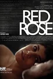 Red Rose 2014