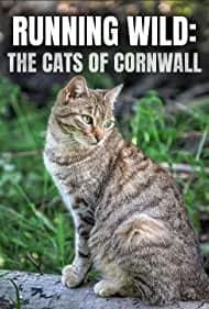 Running Wild: The Cats of Cornwall 2021