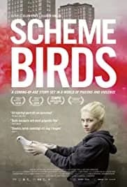 Scheme Birds 2019