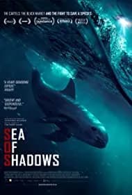 Sea of Shadows (2019)