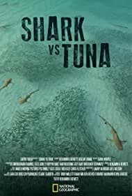 Shark vs Tuna 2018