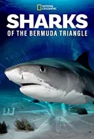 Sharks of the Bermuda Triangle 2020