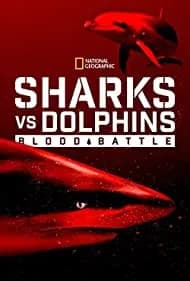 Sharks vs. Dolphins: Blood Battle 2020