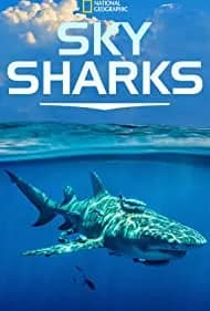 Sky Sharks 2022