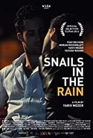 Snails in the Rain 2013