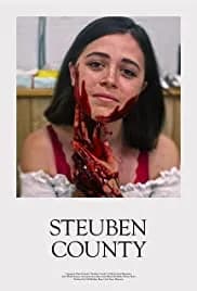 Steuben County 2020