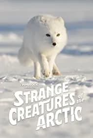 Strange Creatures of the Arctic 2022