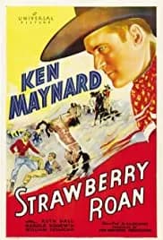 Strawberry Roan 1933