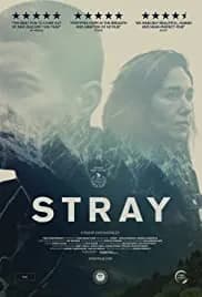 Stray 2018