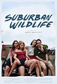 Suburban Wildlife 2019