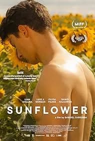 Sunflower 2024