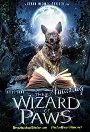 The Amazing Wizard of Paws 2015