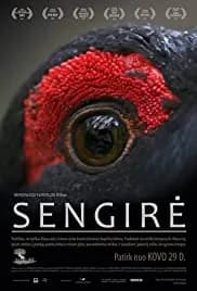 The Ancient Woods 2017