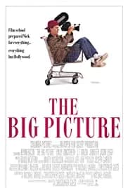 The Big Picture (1989)