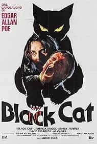 The Black Cat 1981