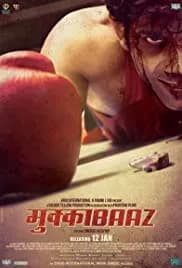 The Brawler (2017)