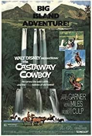 The Castaway Cowboy 1974