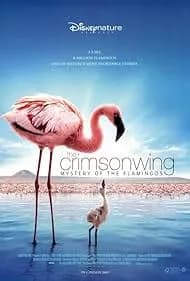 The Crimson Wing: Mystery of the Flamingos 2009