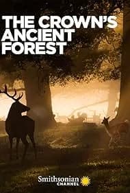 The Crown's Ancient Forest 2021