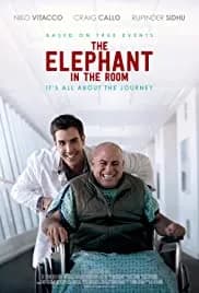 The Elephant in the Room 2020