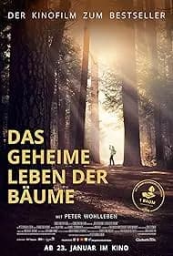 The Hidden Life of Trees 2020