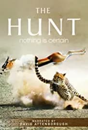 The Hunt