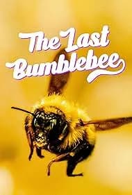 The Last Bumblebee 2024