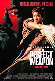 The Perfect Weapon 1991