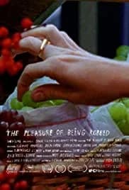 The Pleasure of Being Robbed 2008
