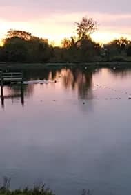 The Ponds 2018