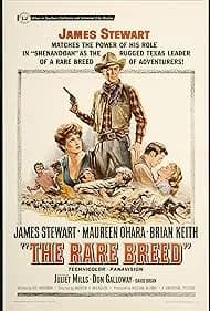 The Rare Breed (1966)