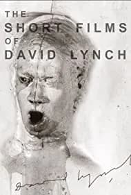 The Short Films of David Lynch 2002