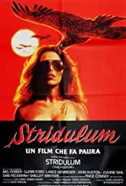 The Visitor (1979)